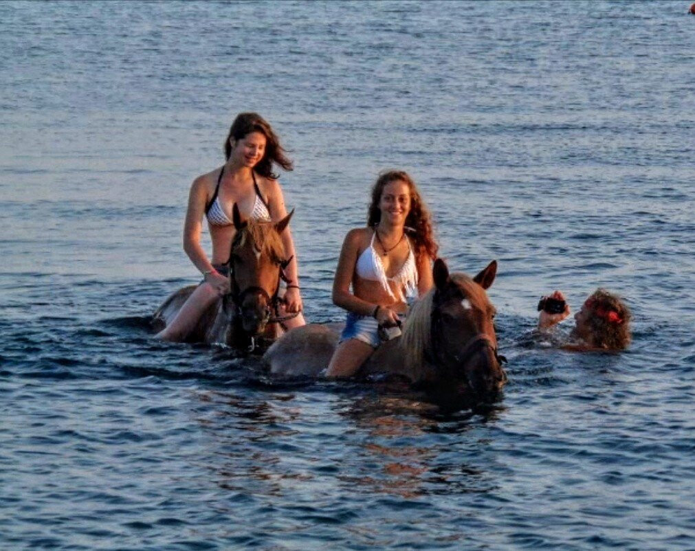 Horse-Ranch Manippos Halkidiki-Kassandra必去景点