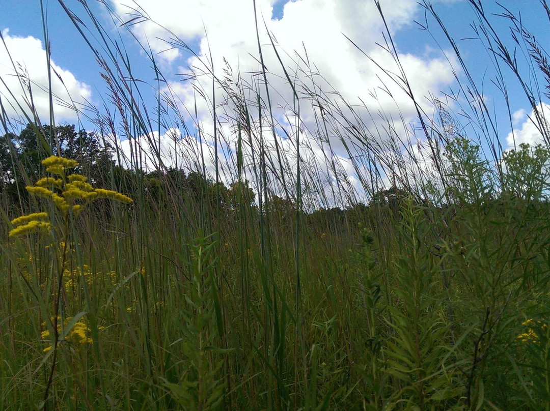 Black Rock Nature Preserve-Otterbein必去景点