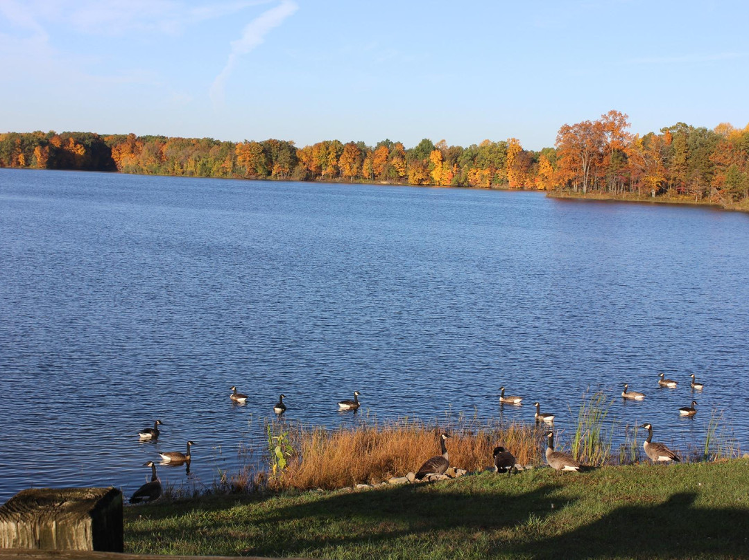 Jasonville旅游攻略图片