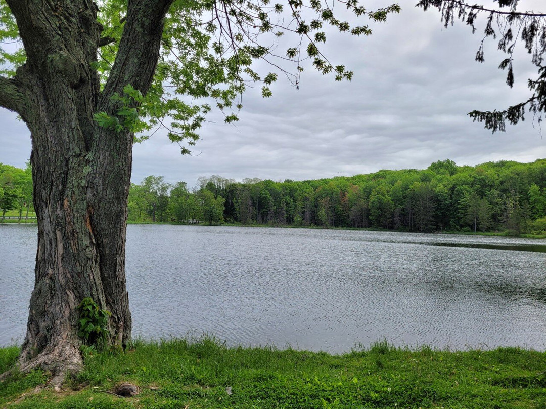 Hillside Park - South Abington Township