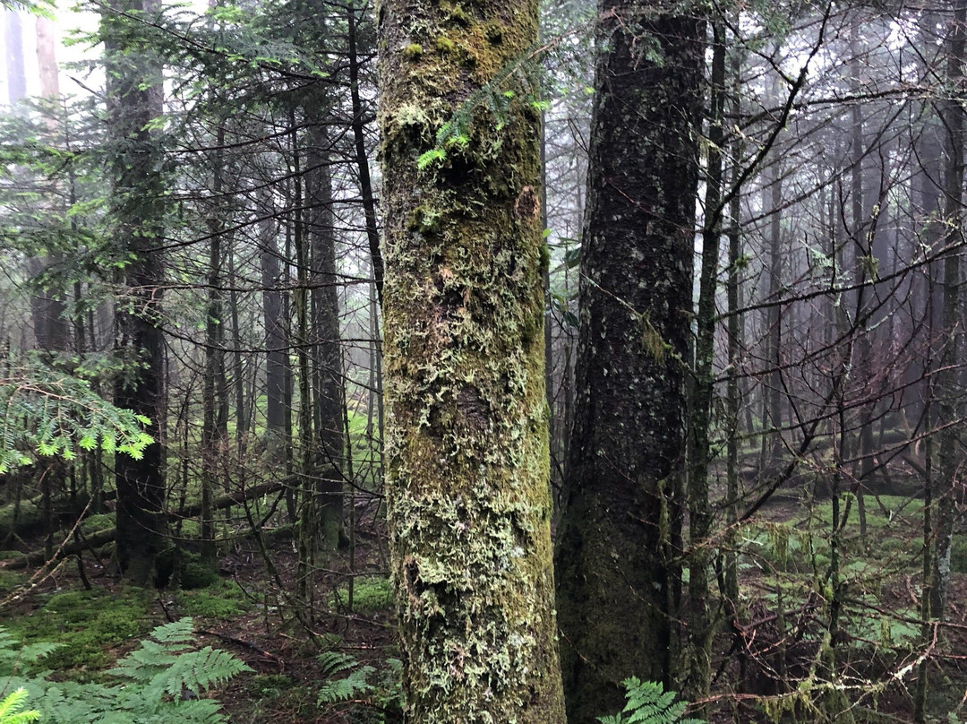 Bakersville旅游攻略图片