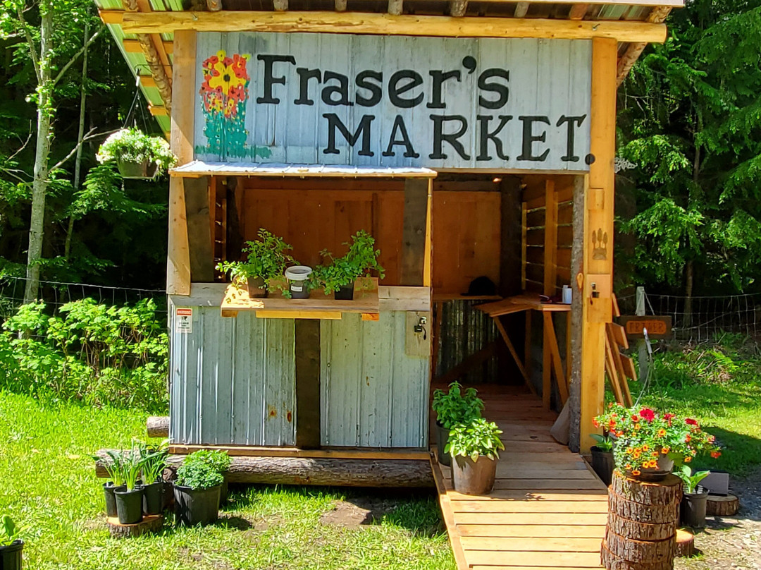 Fraser's Market景点图片