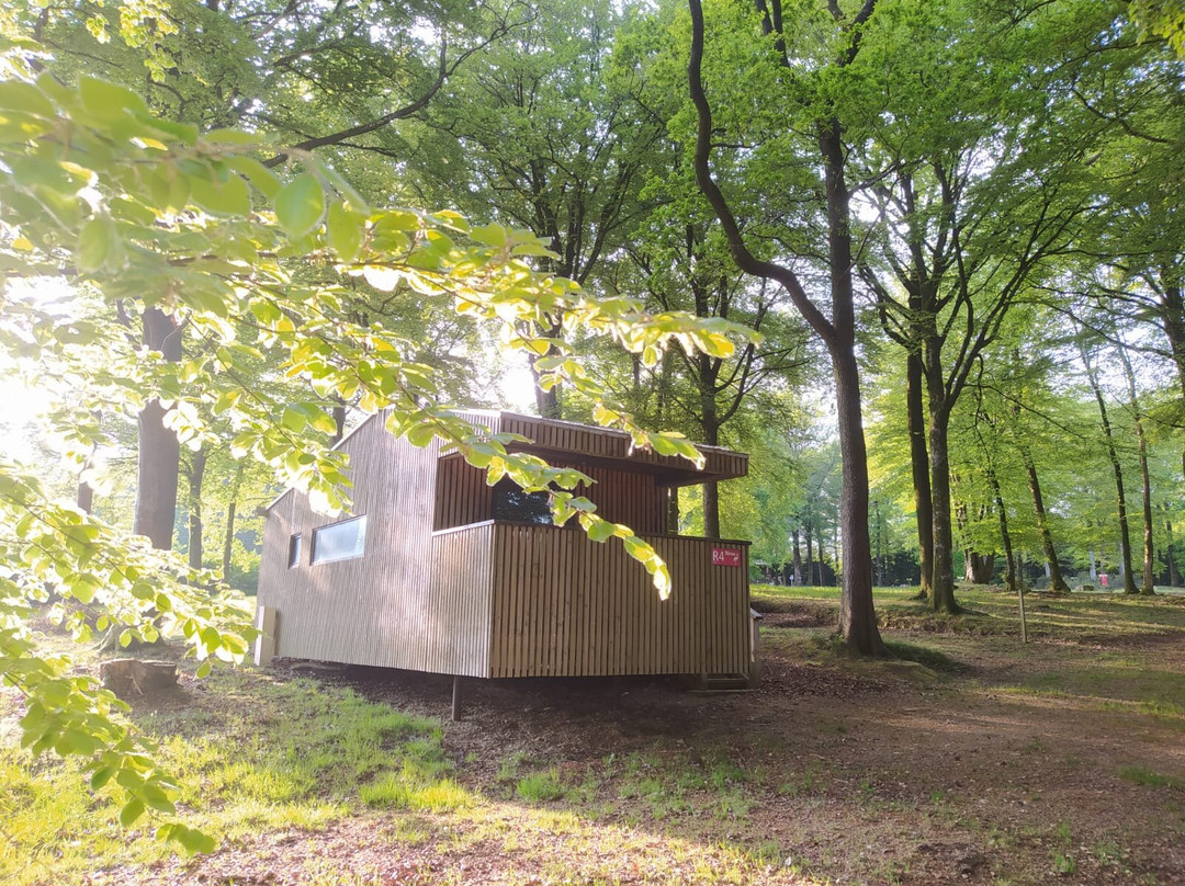 Saint-Sever-Calvados旅游攻略图片