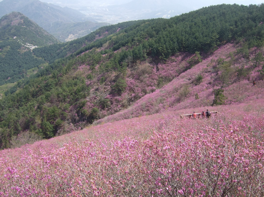 Mount Cheonju in Changwon-昌原市必去景点