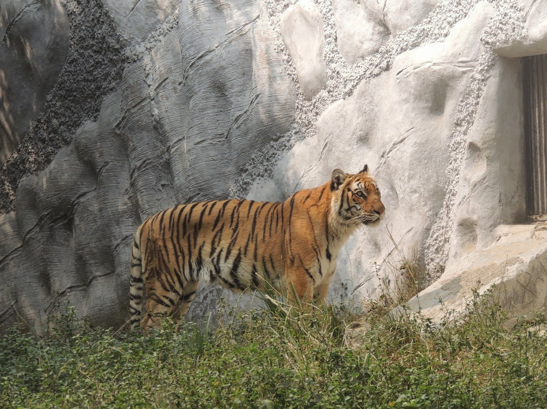 Kanpur Zoological Park景点图片