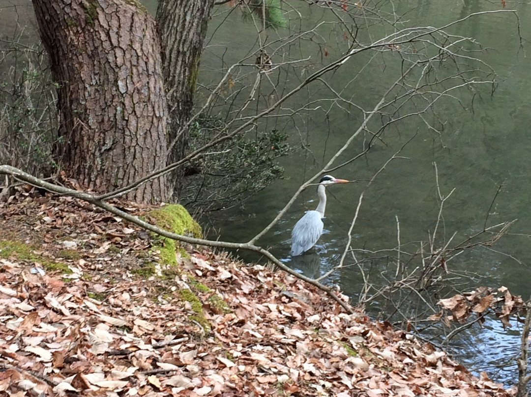 Kassaka Ruins Park-相模原市必去景点