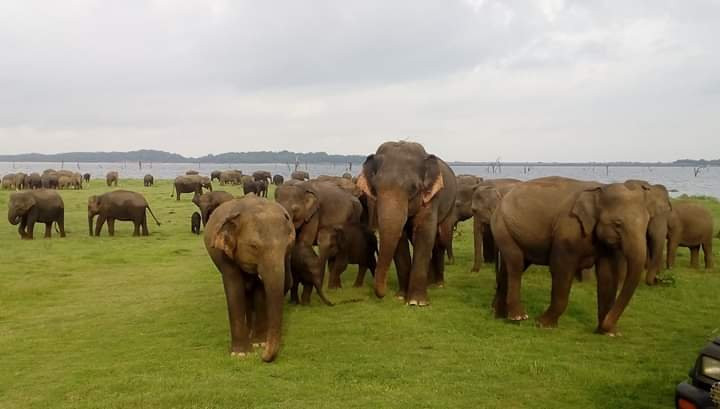 Nature Paradise Travels-科伦坡必去景点