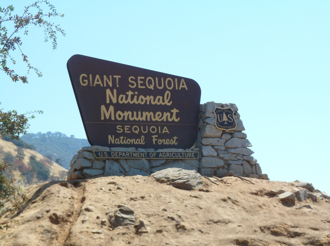 Giant Sequoia National Monument景点图片