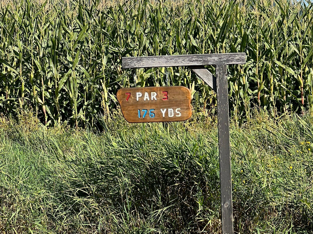 Birchdale Golf Course景点图片