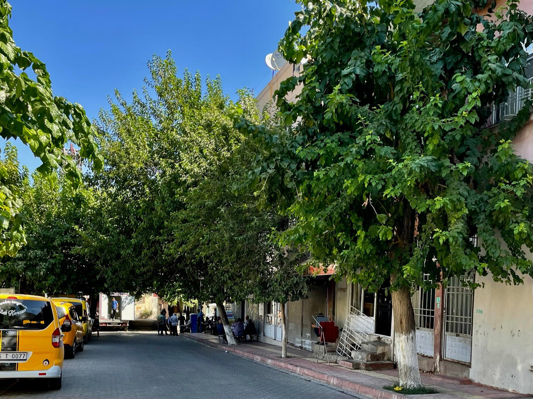 Siirt Ulu Camii