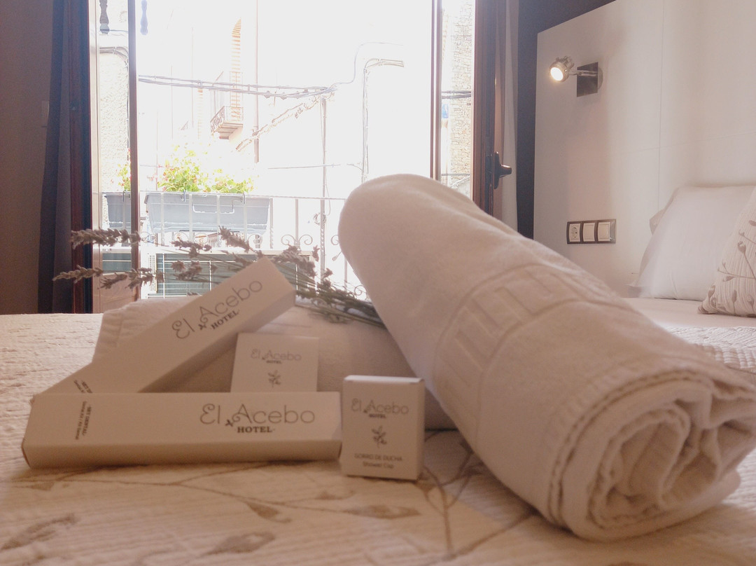 Hotel El Acebo主图