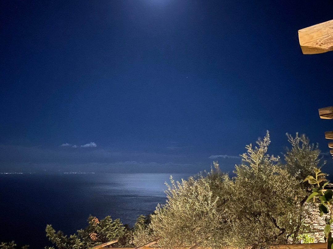 Holidays Fico d'India主图