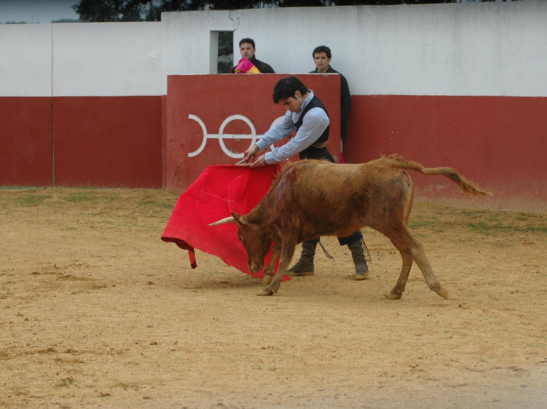 Entre Toros y Caballos景点图片