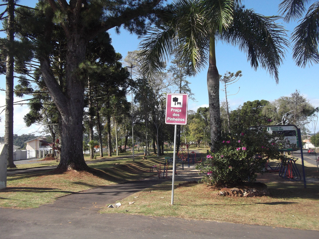 Praca Luba Klabin (Praca dos Pinheiros)景点图片
