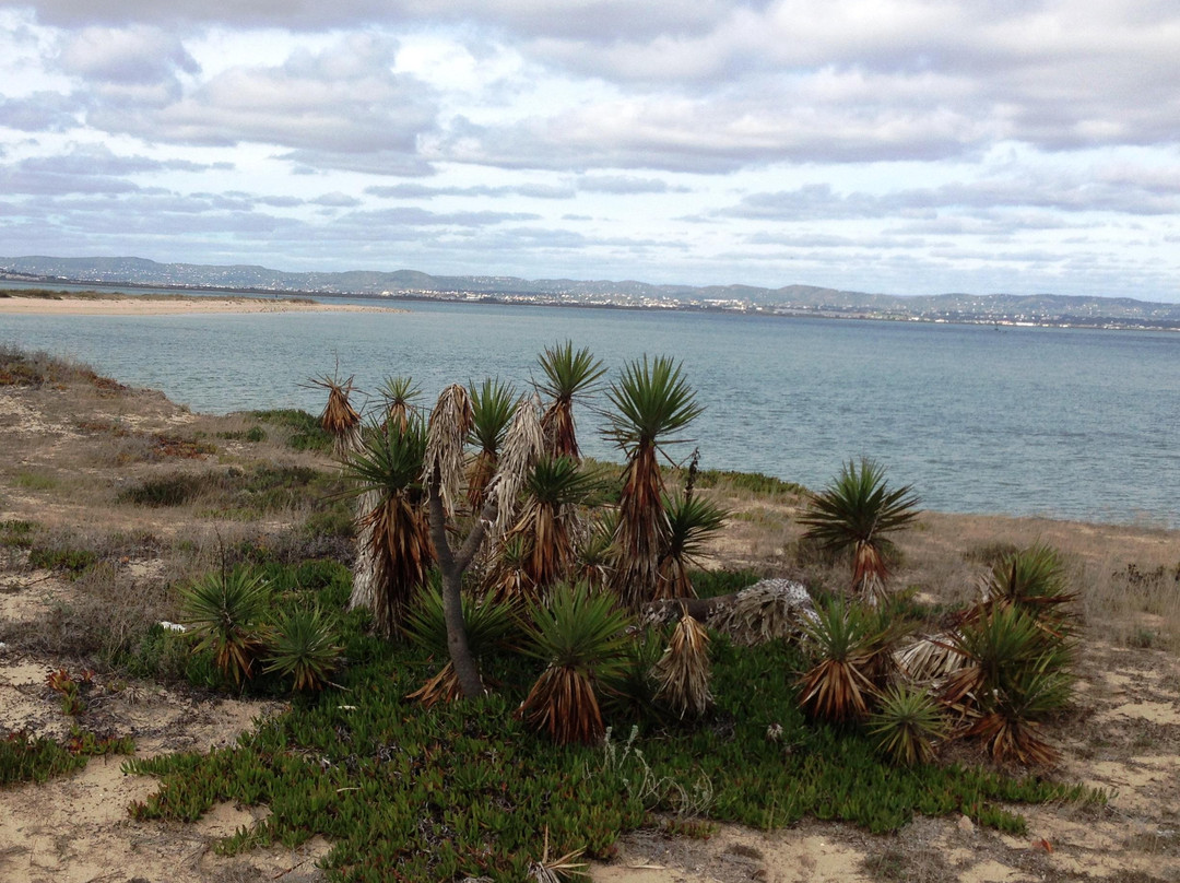 Animaris Ilha Deserta-法罗必去景点