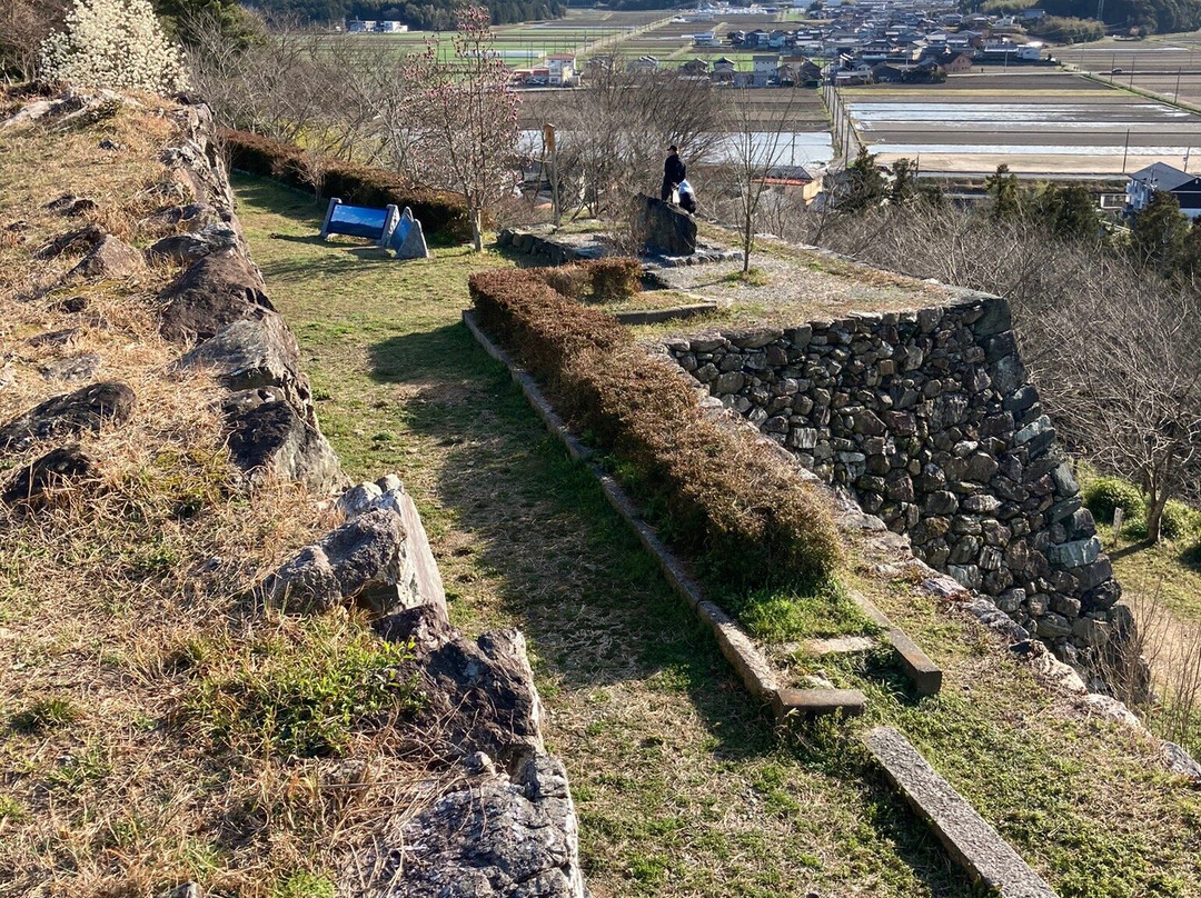 Tamaru Castle Ruin景点图片