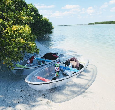 Island Ferry of St Pete-圣彼得海滩必去景点