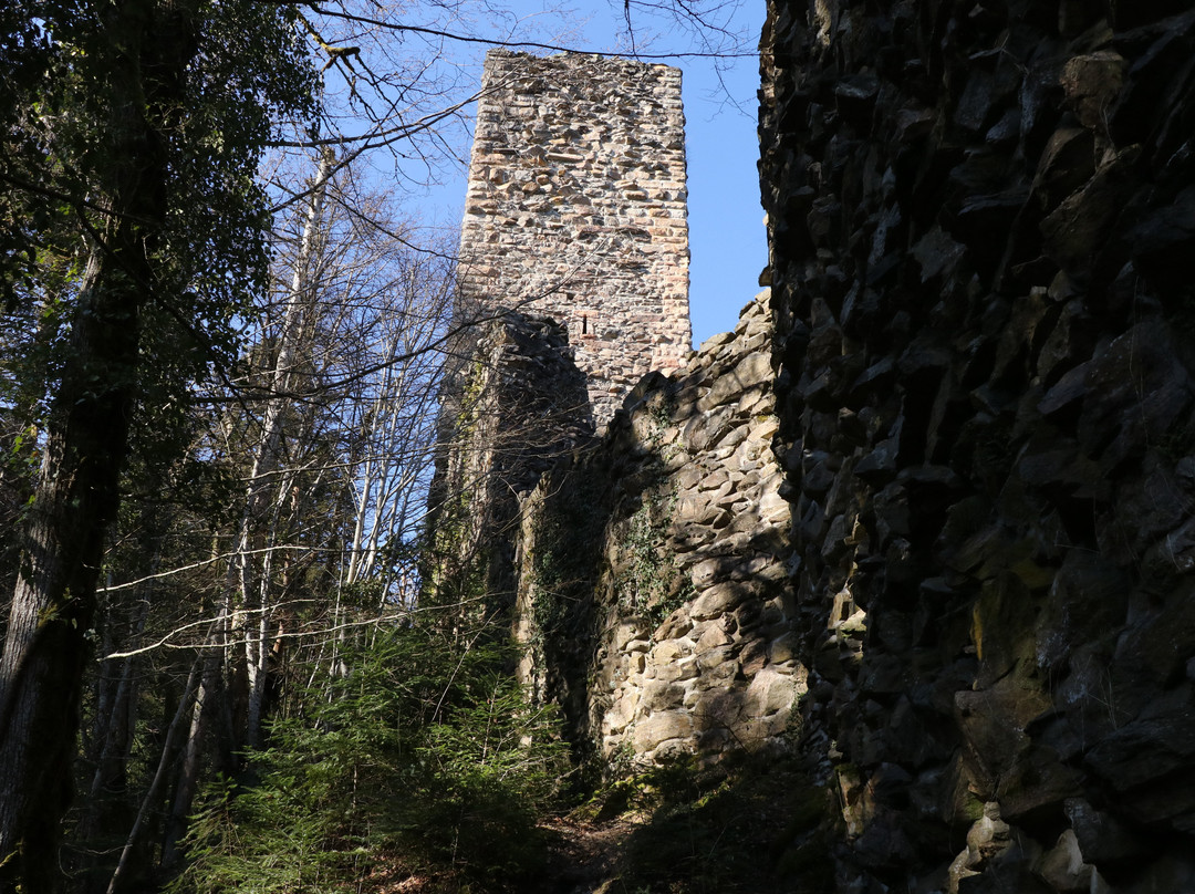 Wieladingen-Rickenbach必去景点