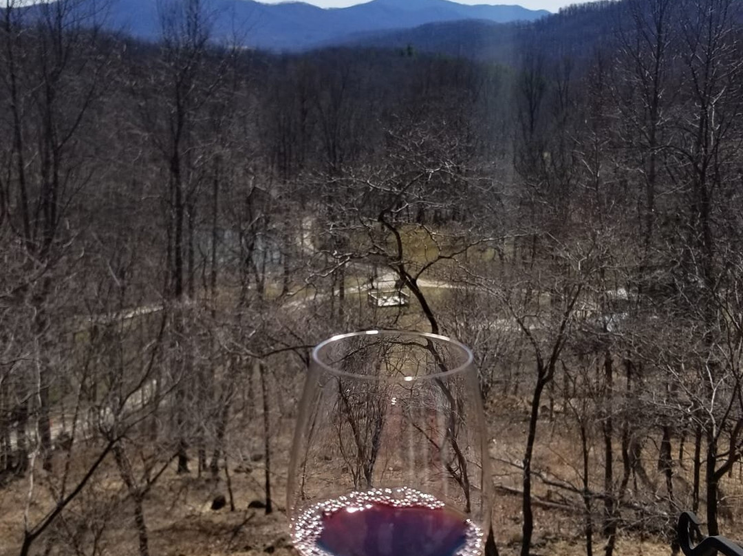 Ankida Ridge Vineyards景点图片