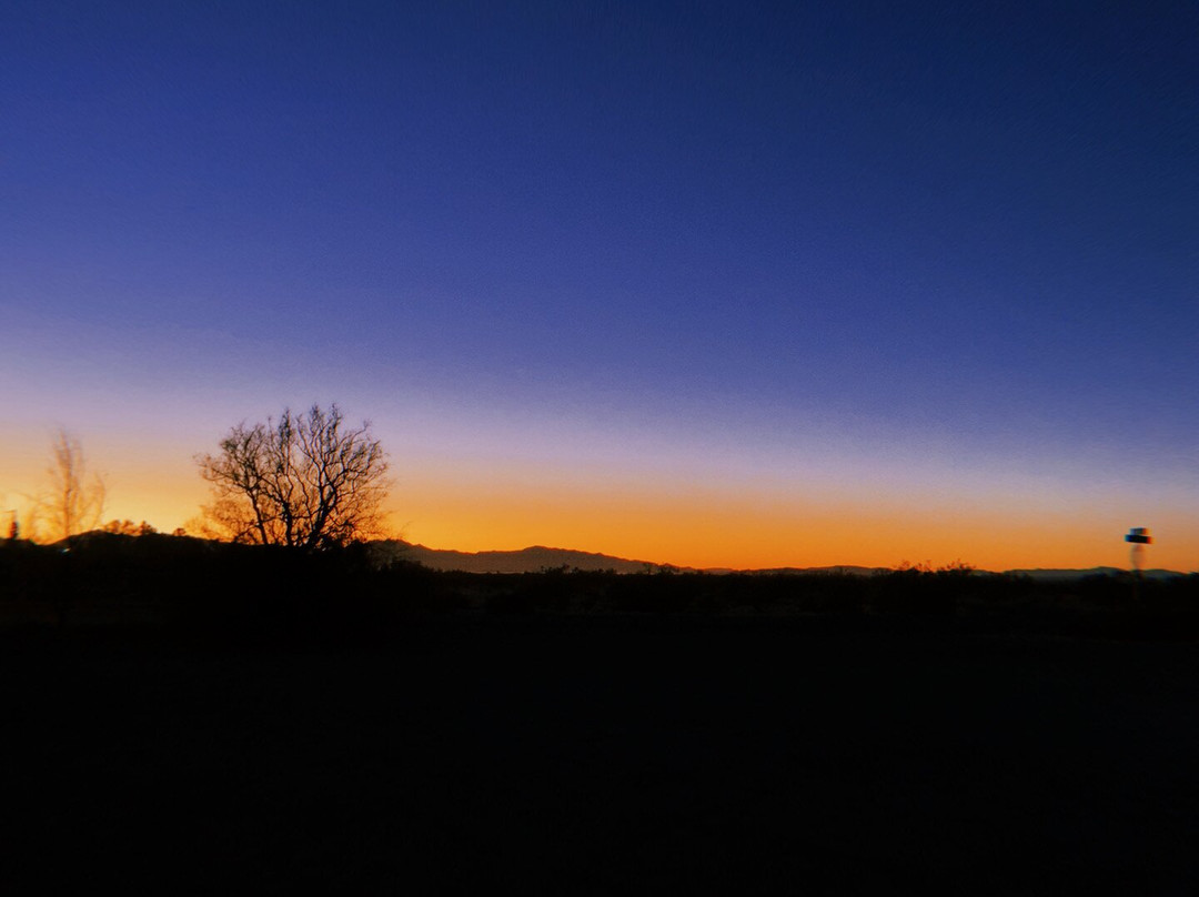 Miss Kathy's Short Branch Saloon-帕朗必去景点