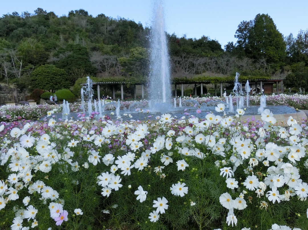 Hyogo Prefectural Flower Center-加西市必去景点