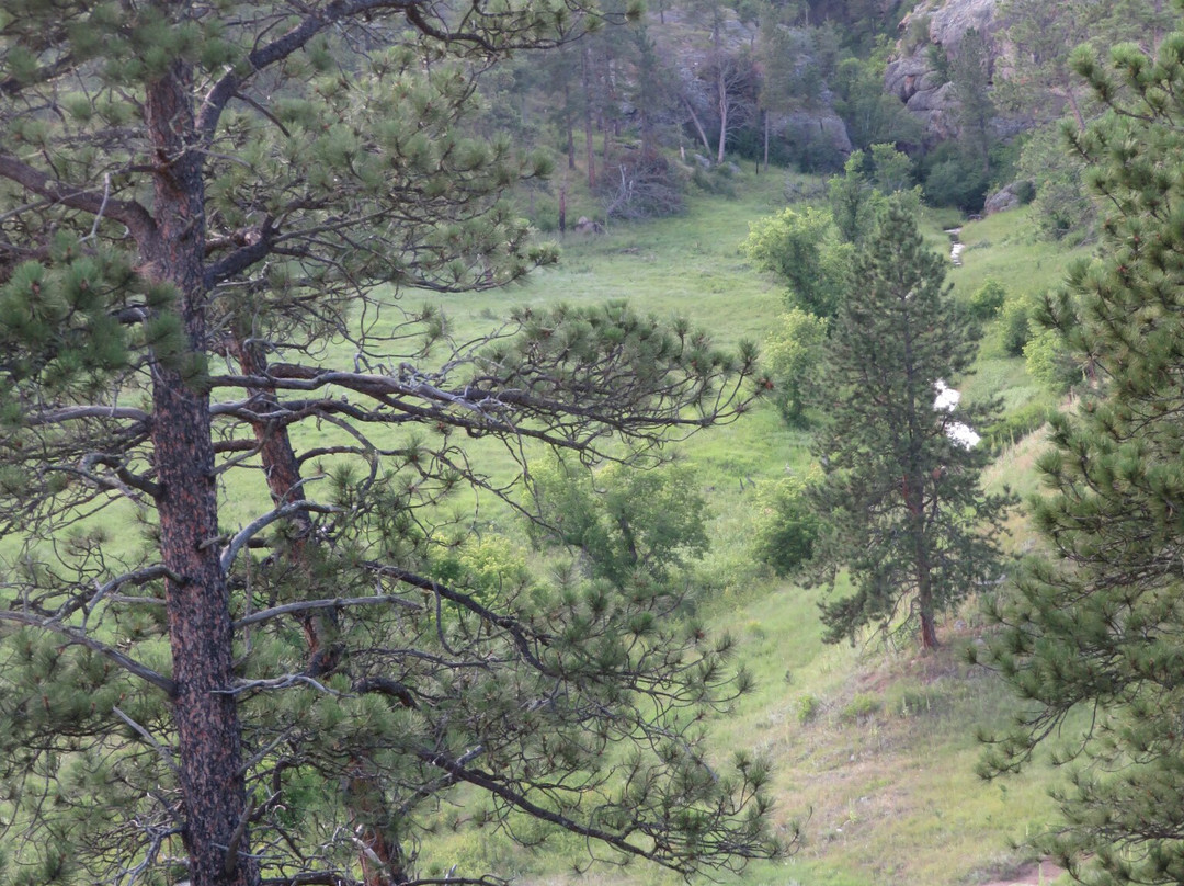 Beaver Creek Bridge-Wind Cave National Park必去景点