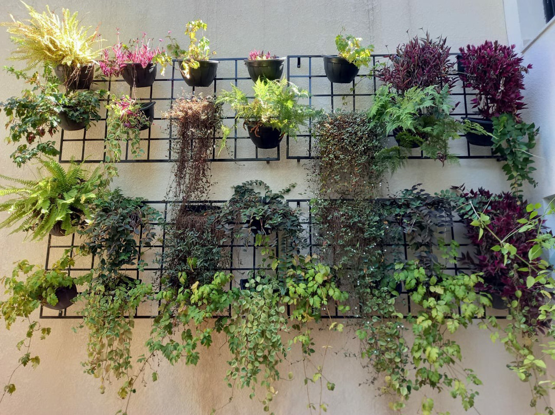 Hotel Casa Alfredo主图