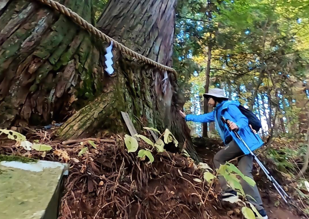 Togakushi Shrine Hinomikosya景点图片