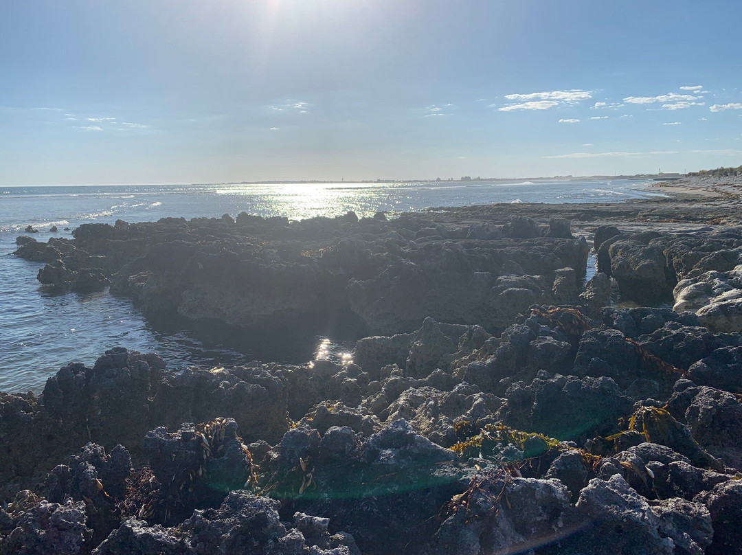 Port Macdonnell Jetty景点图片