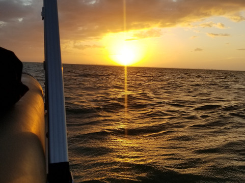 SWFL Party Pontoon-迈尔斯堡海滩必去景点