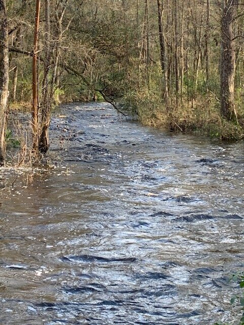 Falling Creek Falls景点图片