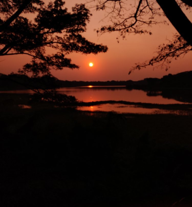 Kukkarahalli Lake-迈索尔必去景点