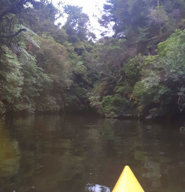 The Boatshed Kayaks-剑桥必去景点