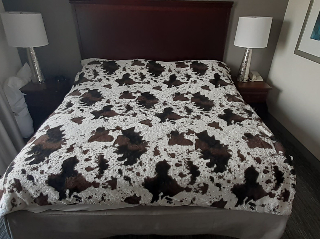 Homewood Suites by Hilton Huntsville-Village of Providence主图