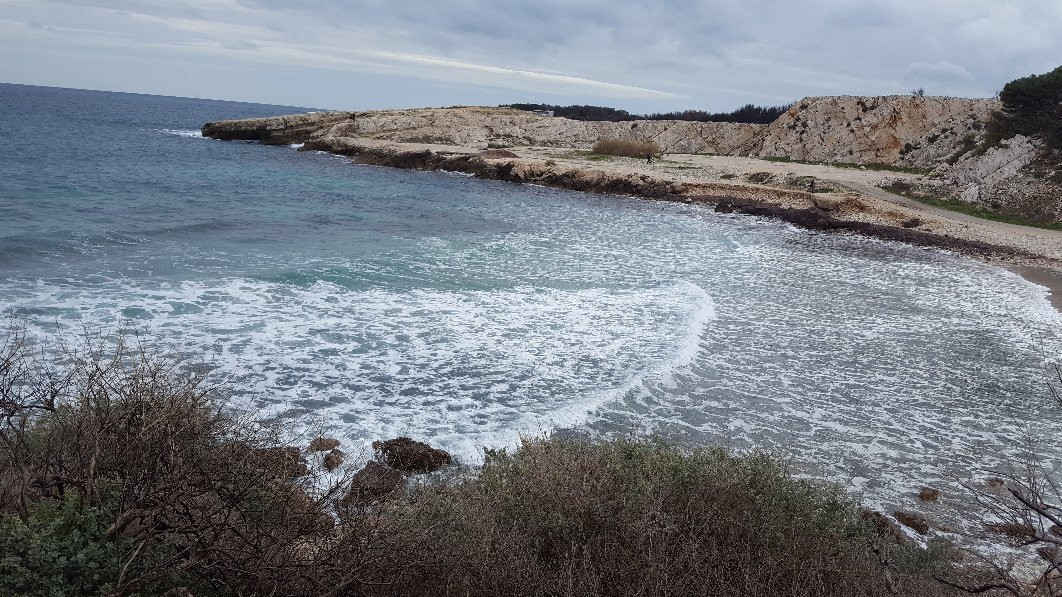 Côte Bleue Plongée-Sausset-les-Pins必去景点