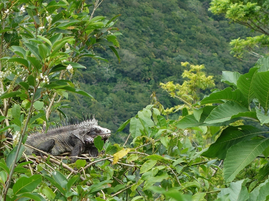 埃尔莫末小屋旅馆主图