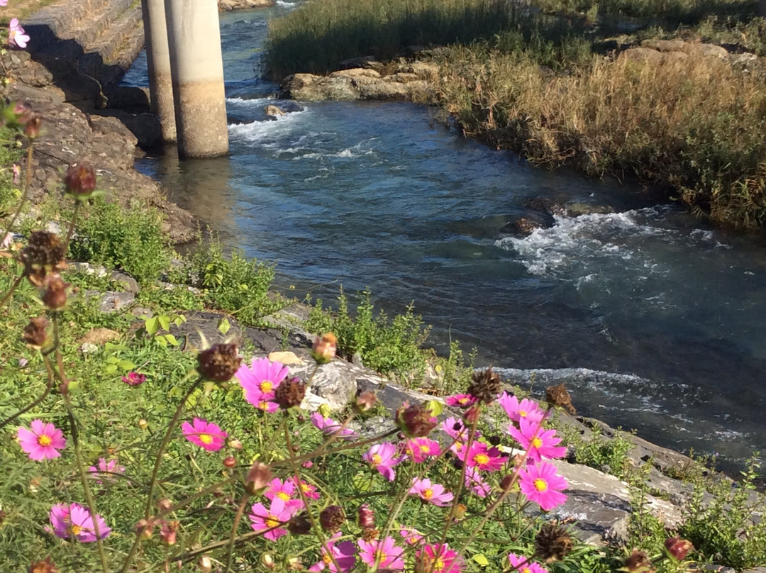 Yamabukino Sato Historic Park-越生町必去景点