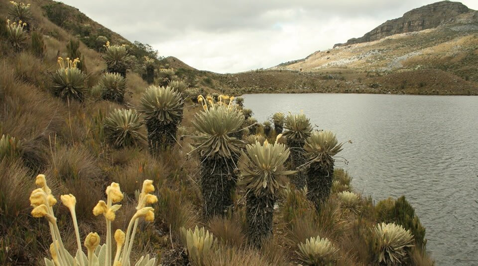 Paque Nacional Farallones de Cali-卡利必去景点