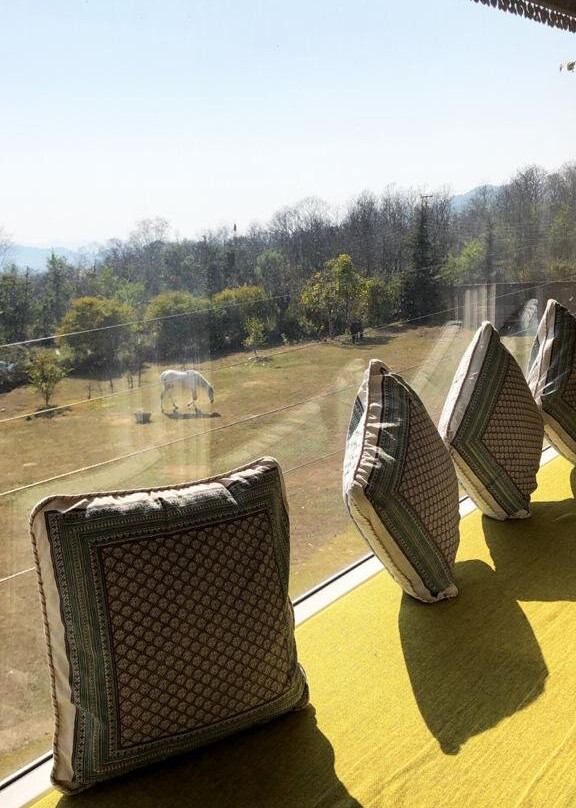 Colonel's Resort主图