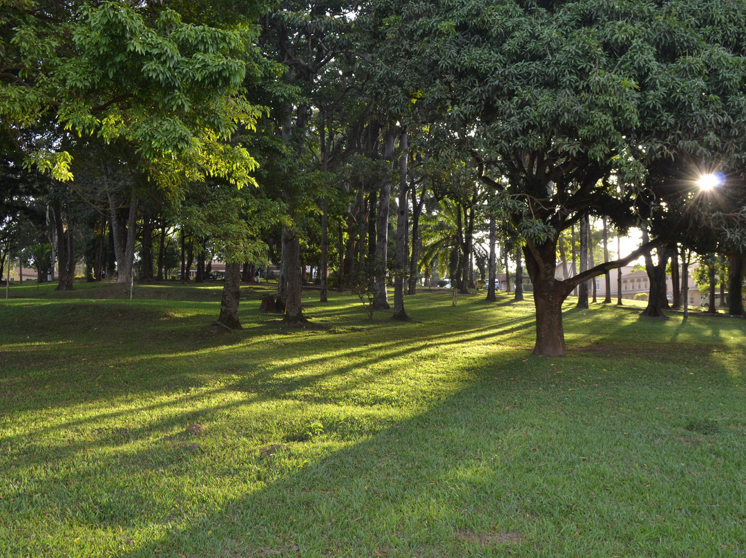 Lweza Training and Conference Centre