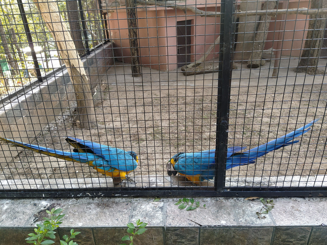 Dehradun Zoo景点图片