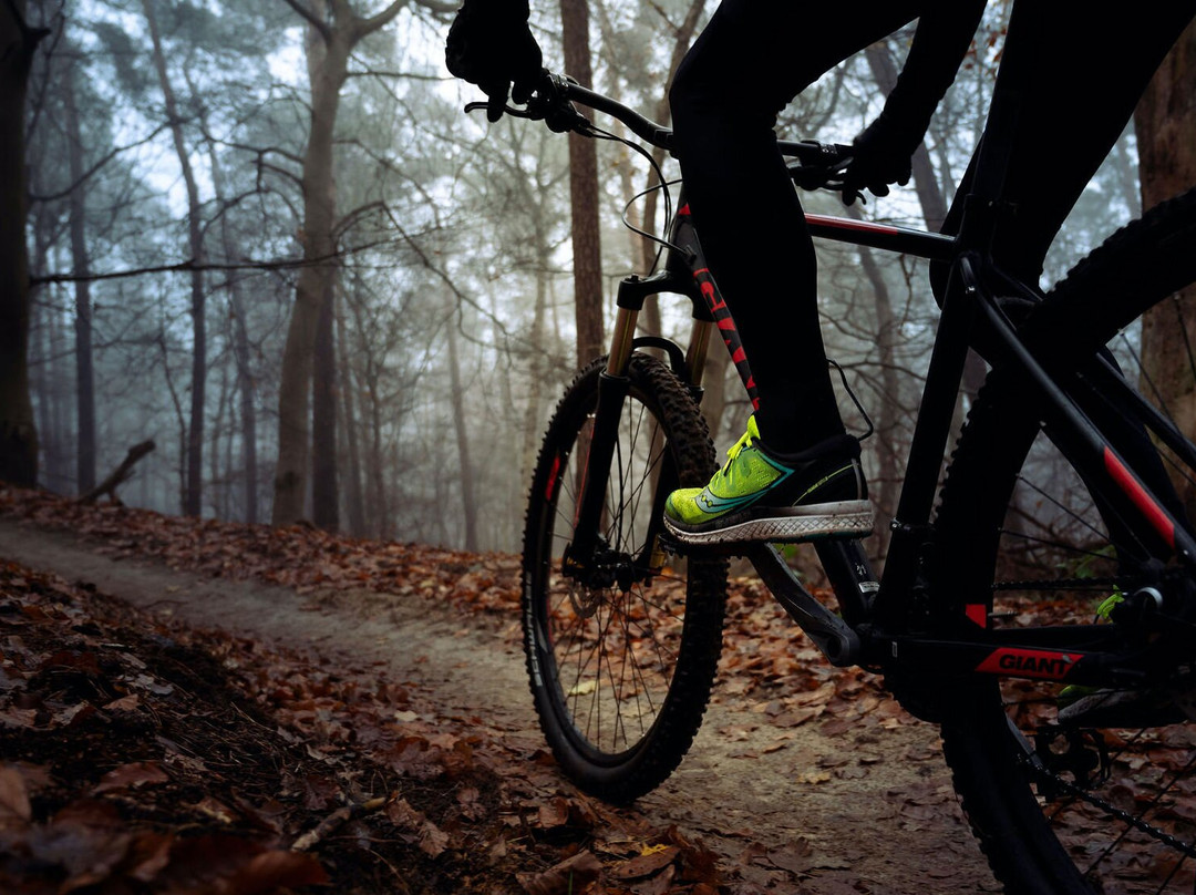 Ultimate Adventures-Borculo必去景点