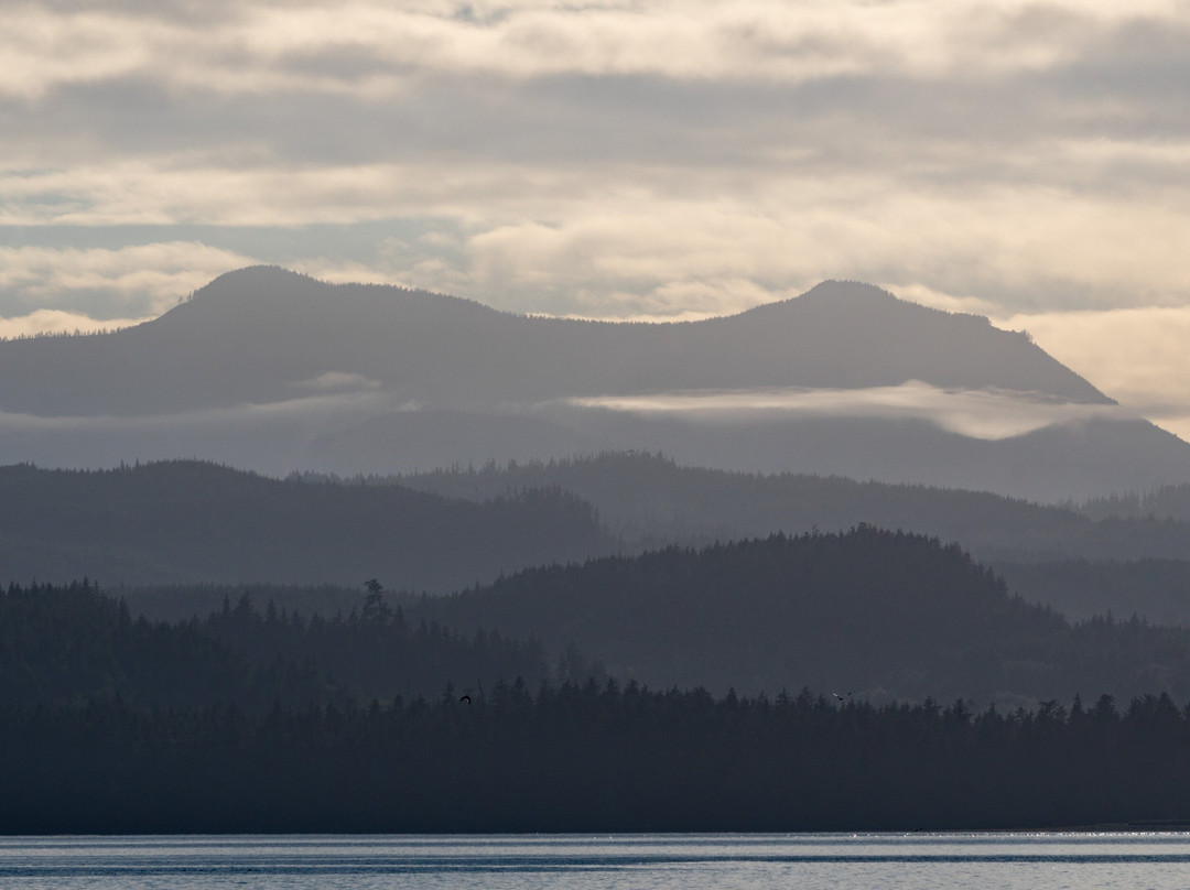 Mosaic Earth Travel-温哥华岛必去景点