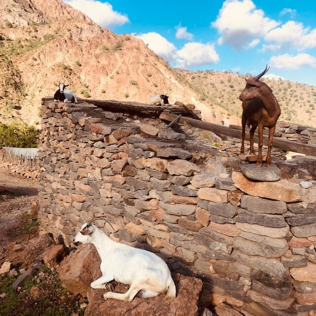 Rushing Waters Adventures-吉布地必去景点