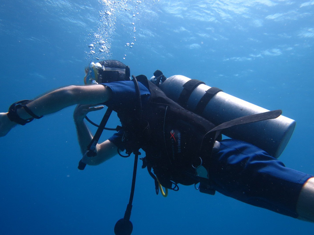 Buceo Pedernales景点图片