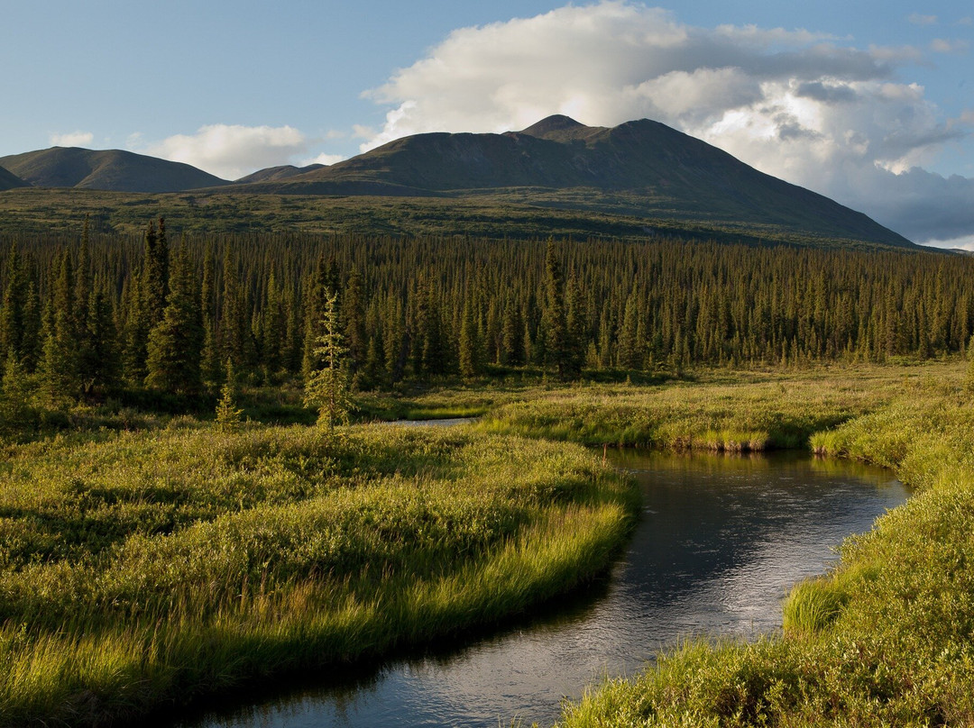 Denali Angler景点图片