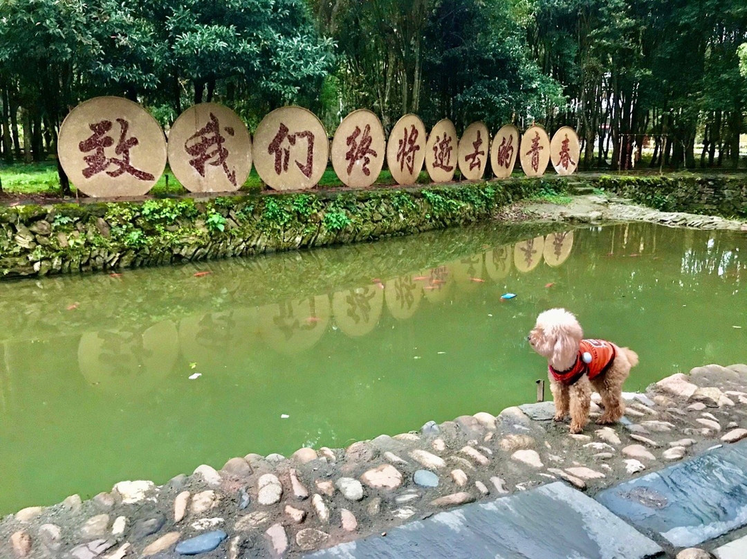 理坑-婺源县必去景点