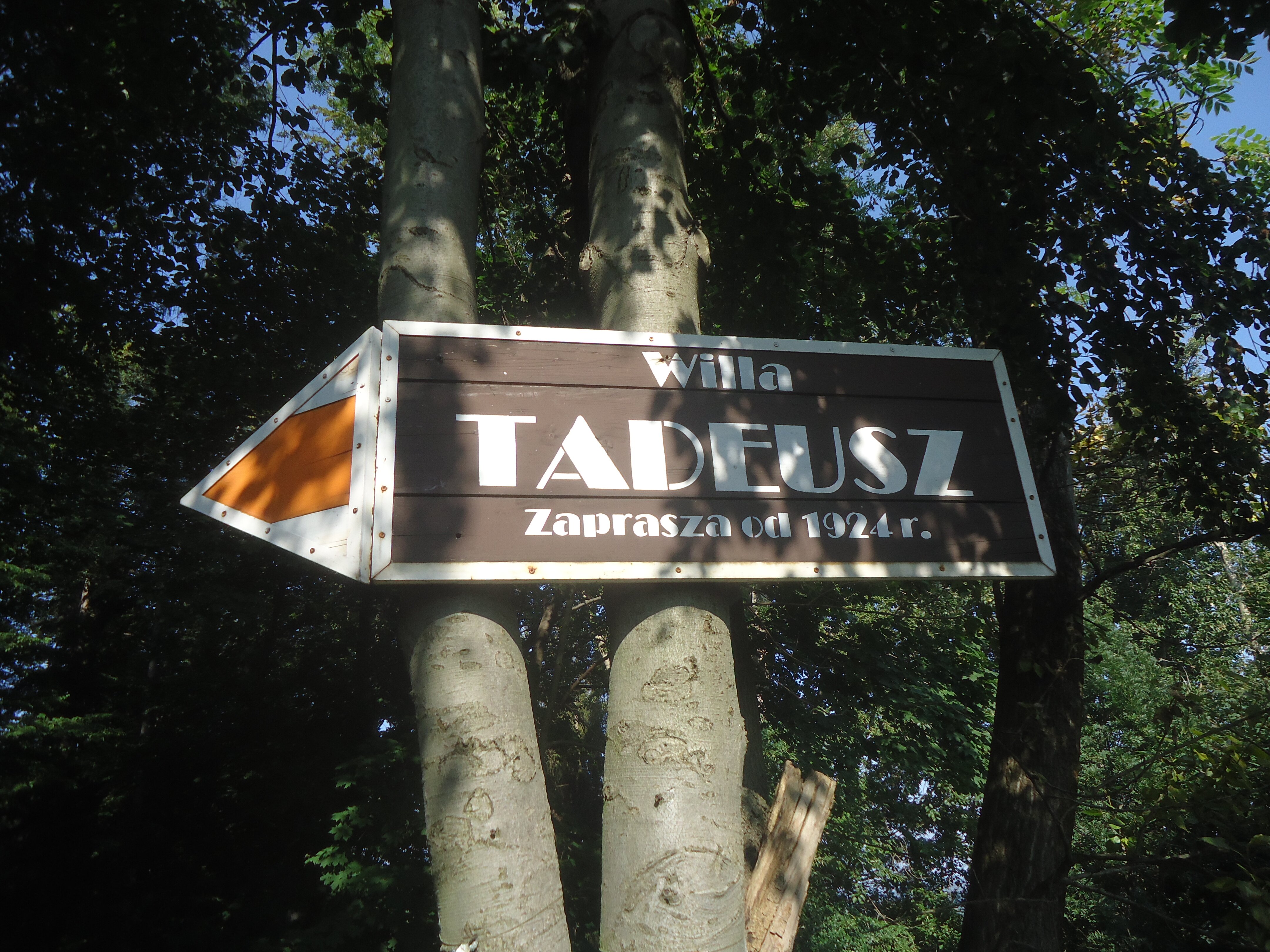 Willa Tadeusz-官方