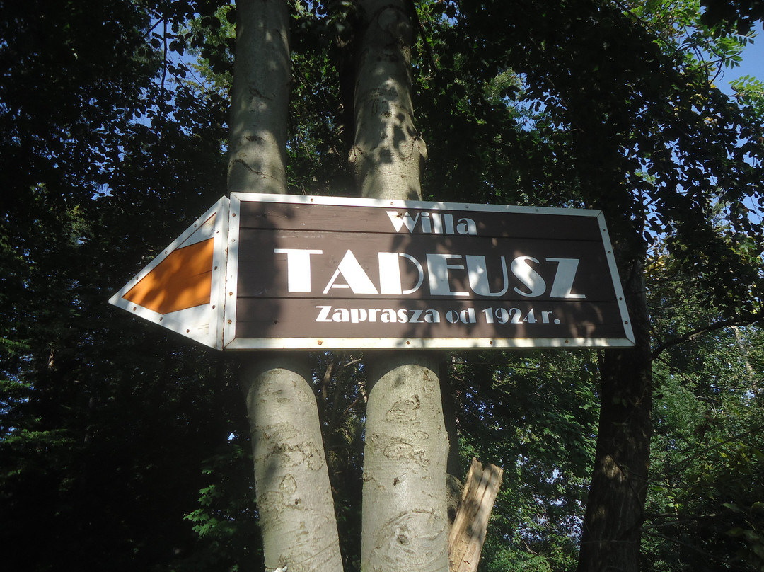 Willa Tadeusz主图