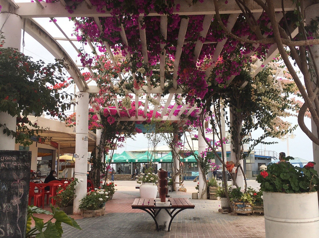 Malecon El Chaco-帕拉卡斯必去景点